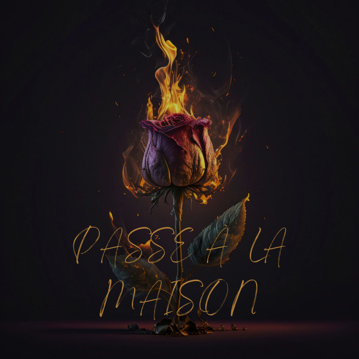 Diogo Barbosa • "Passe à La Maison"